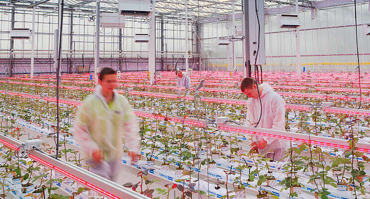 'Groene digitalisering' 'Groene digitalisering'