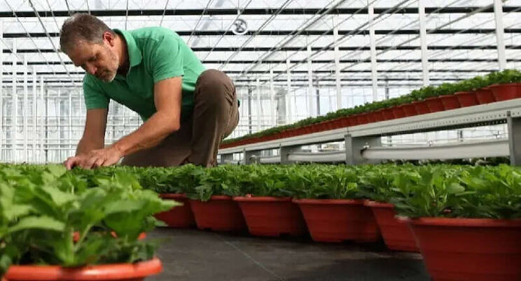 'Ook keuze pot en potgrond belangrijk' 'Ook keuze pot en potgrond belangrijk'