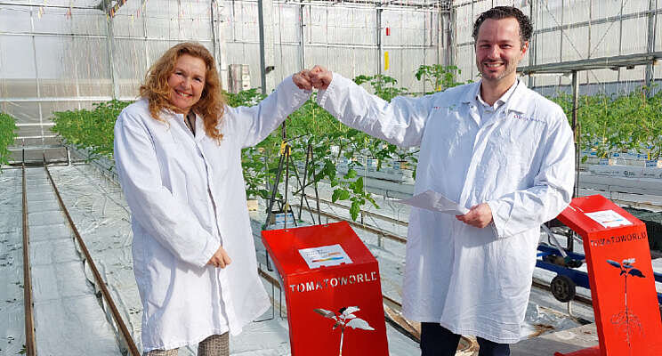Rabobank langer partner van Tomatoworld Rabobank langer partner van Tomatoworld