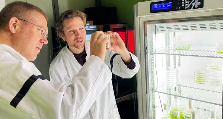 Onderzoek grootschalige zeewierproductie op zee Onderzoek grootschalige zeewierproductie op zee