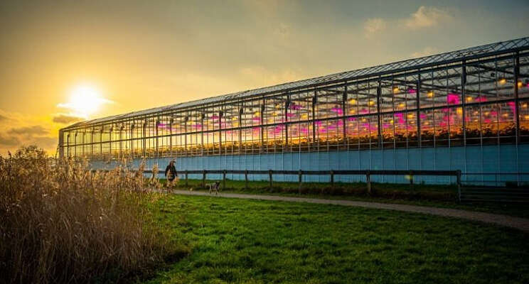 'Go' Lansingerland voor 'Home of Horti Science' 'Go' Lansingerland voor 'Home of Horti Science'