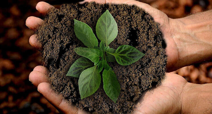Factsheets FAB, biostimulanten en onkruidbeheersing Factsheets FAB, biostimulanten en onkruidbeheersing