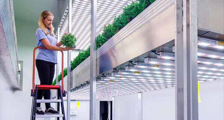 Inholland maakt Database Vertical Farming Inholland maakt Database Vertical Farming