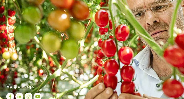 GMO-erkenning voor Harvest House en ZON GMO-erkenning voor Harvest House en ZON