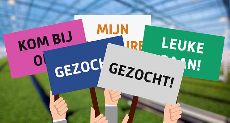 Morgen: Hoe onderscheid ik mij als werkgever? Morgen: Hoe onderscheid ik mij als werkgever?