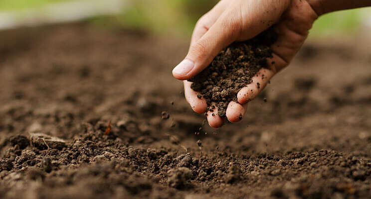 Thatchtec wordt Soilwise Thatchtec wordt Soilwise