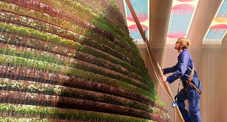 Nederlands tuinbouwevent op World Expo in Dubai Nederlands tuinbouwevent op World Expo in Dubai