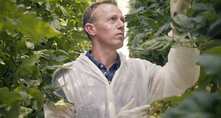 Plant Empowerment werpt vruchten af voor BASF Plant Empowerment werpt vruchten af voor BASF