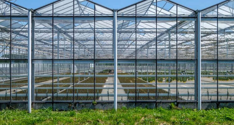 Innovatiecafé 'Circulariteit In de tuinbouw' Innovatiecafé 'Circulariteit In de tuinbouw'