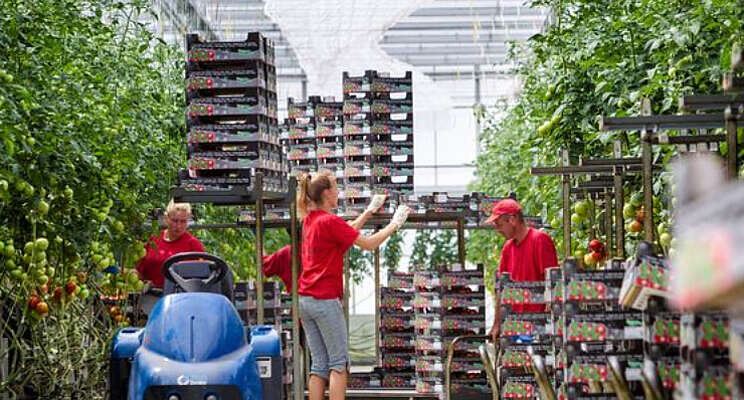Enquête over duurzame inzetbaarheid in tuinbouw Enquête over duurzame inzetbaarheid in tuinbouw