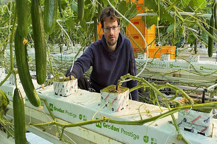 'Wortels verschijnen eerder aan de randen van de mat' 'Wortels verschijnen eerder aan de randen van de mat'
