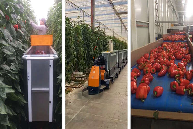 Pepper Shuttle System naar Australië (video) Pepper Shuttle System naar Australië (video)