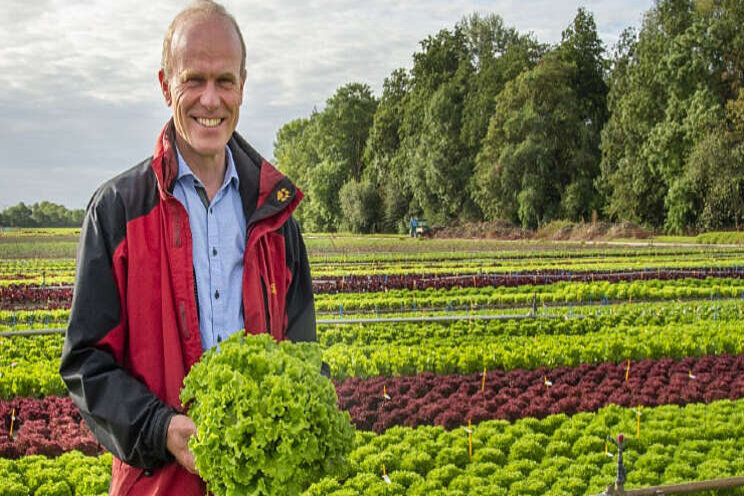 Slarassen resistent tegen nieuwe valse meeldauw Slarassen resistent tegen nieuwe valse meeldauw