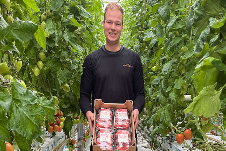 Phytorich Krachtige Tomaten in schap bij DEEN