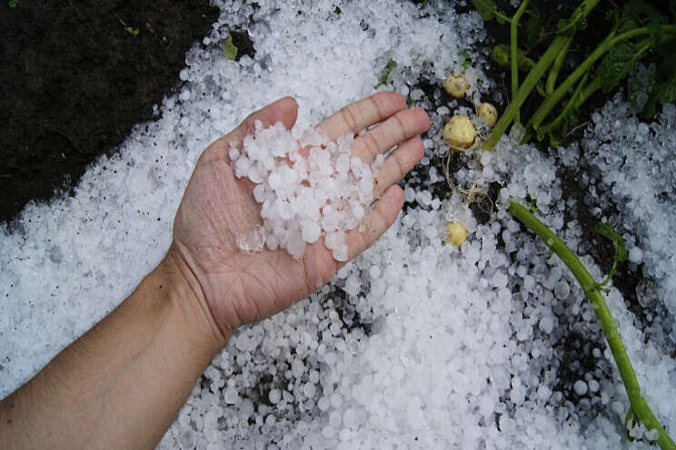 Meer deelnemers brede weersverzekering Meer deelnemers brede weersverzekering