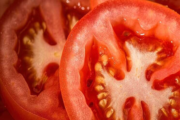 Start importmonsters tomaten- en paprikazaden Start importmonsters tomaten- en paprikazaden