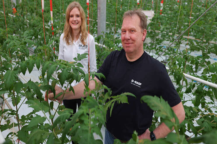 Ras-specifiek telen in autonome omgeving Ras-specifiek telen in autonome omgeving