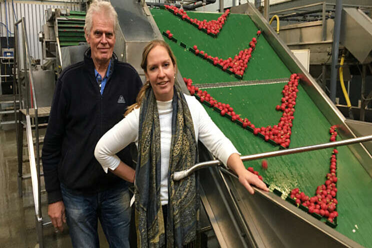 Langere houdbaarheid agf door toepassing van ozon Langere houdbaarheid agf door toepassing van ozon