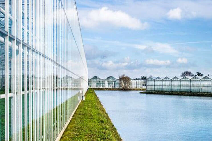 Stikstofwet en zuivering bieden perspectief Stikstofwet en zuivering bieden perspectief