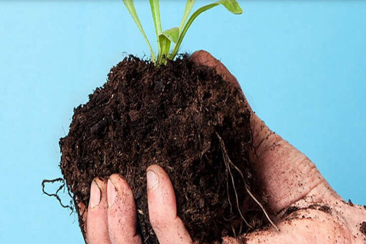 Rijk Zwaan lanceert noviteit tijdens Biokennisweek Rijk Zwaan lanceert noviteit tijdens Biokennisweek