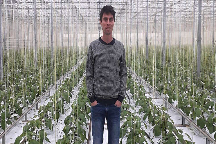 Uitbreiding paprika-areaal voor Growers United Uitbreiding paprika-areaal voor Growers United