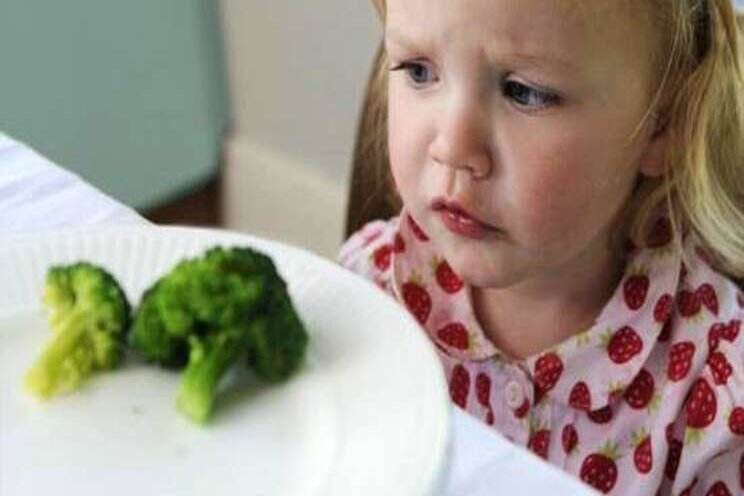 Gezonder eten door slim groentebord? Gezonder eten door slim groentebord?