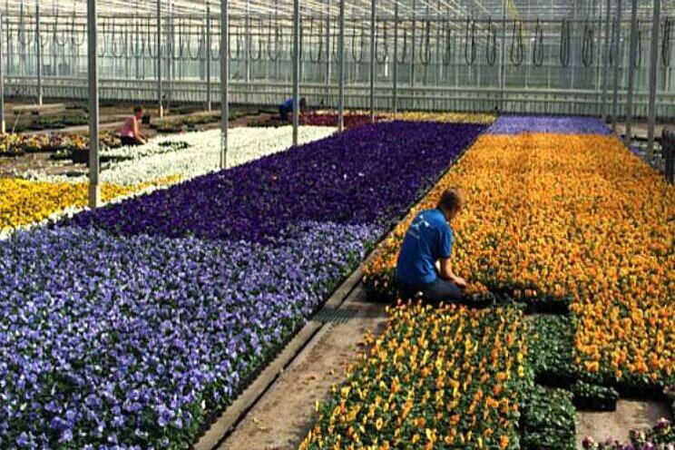 Tuinplantendag 2020 verschoven naar november