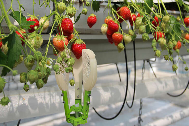 Aanmelding geopend voor Studio RoboCrops Aanmelding geopend voor Studio RoboCrops