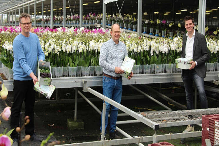 Gezonde cressen voor klanten van Koppert Gezonde cressen voor klanten van Koppert