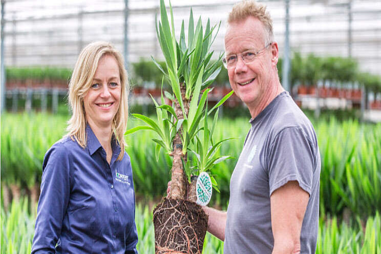 Forever Plants op weg naar de beste plantomgeving Forever Plants op weg naar de beste plantomgeving